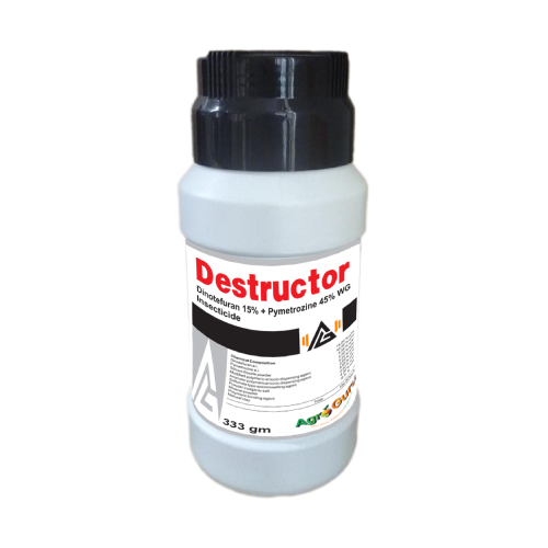 Destructor