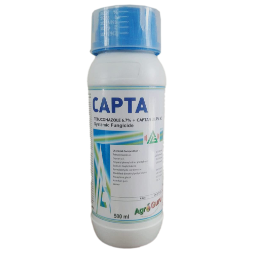 Capta