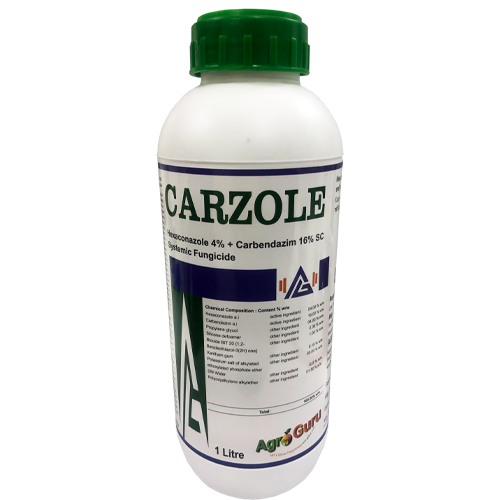 Carzole
