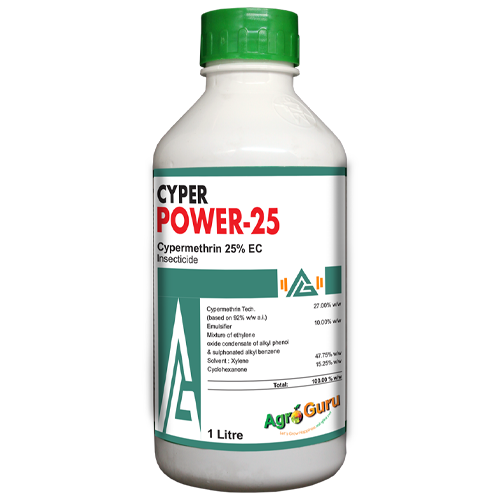 Cyper Power-25