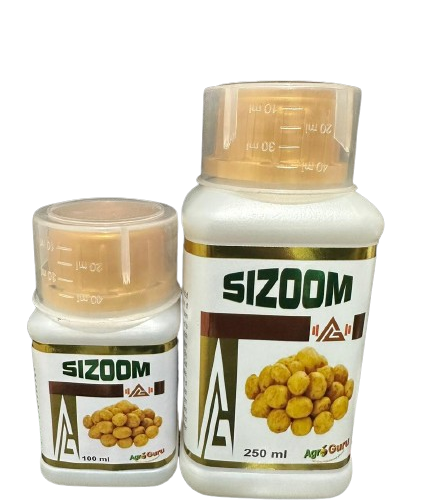 Sizoom