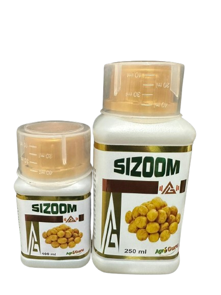 Sizoom