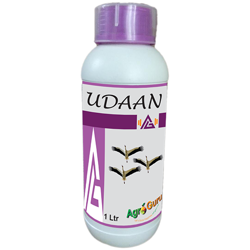 Udaan