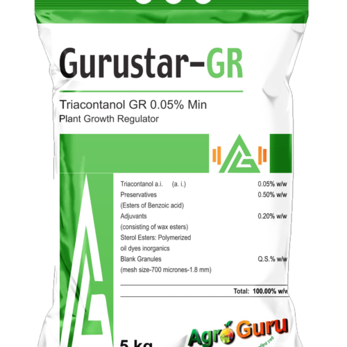Gurustar-GR